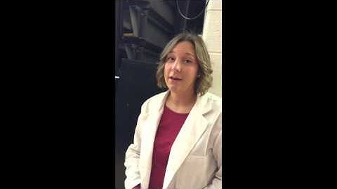 The Inference Detectives