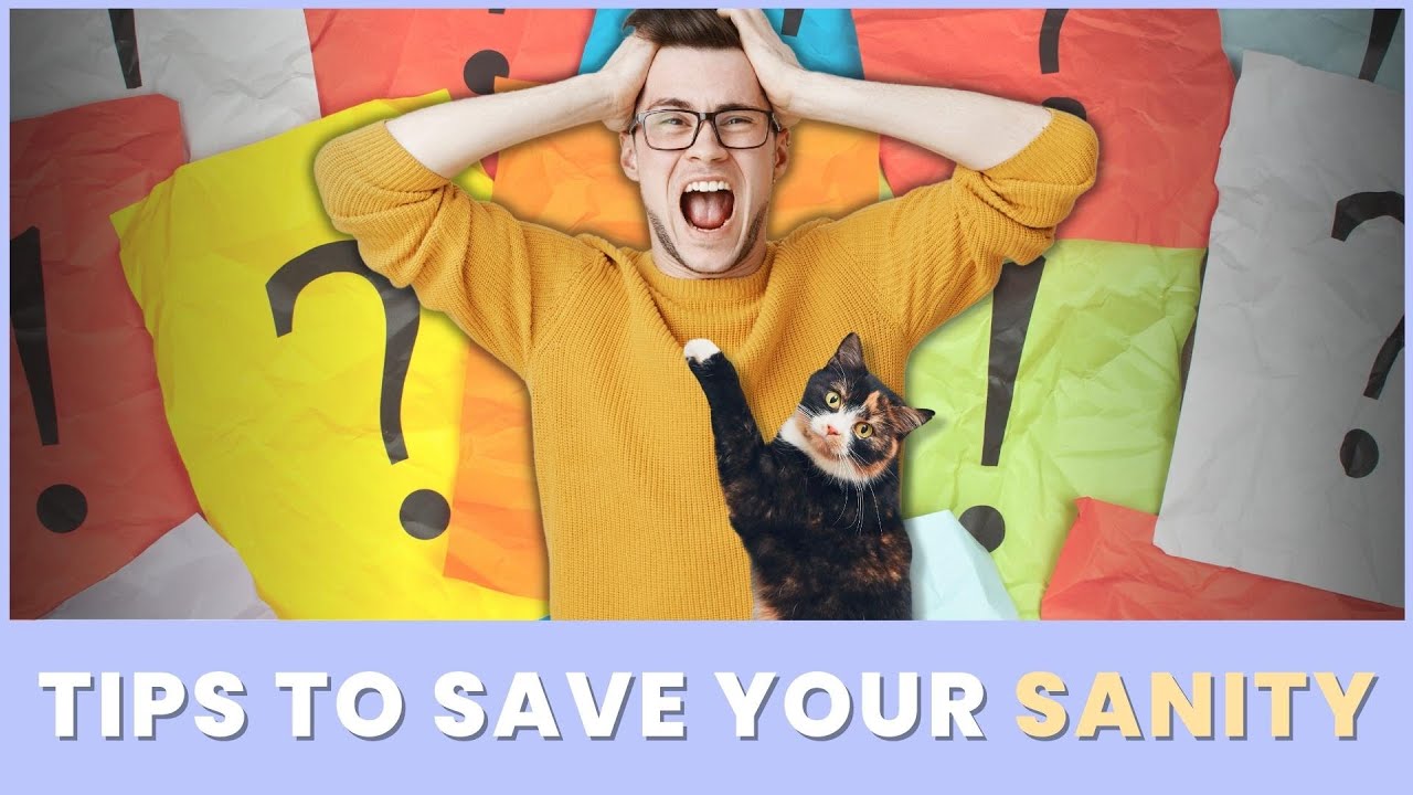 10 Tips For First Time Cat Owners That Will Save Your Sanity 🙀