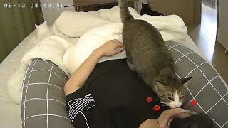 CCTV footage shows that the cat is a person (ENG SUB)