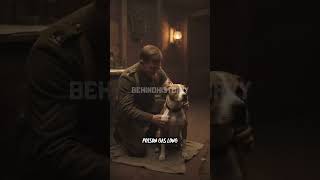 WWI DOG HERO WHO DRANK BEER AND CAPTURED A GERMAN SPY! #BehindHistoryy #Shorts #SERGEANTSTUBBY