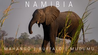NAMIBIA 2022 | AMAZING NATIONALPARKS: MUDUMU, MAHANGO AND BUFFALO PARK | CAPRIVI