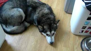 Maya HATES baths-Old Video