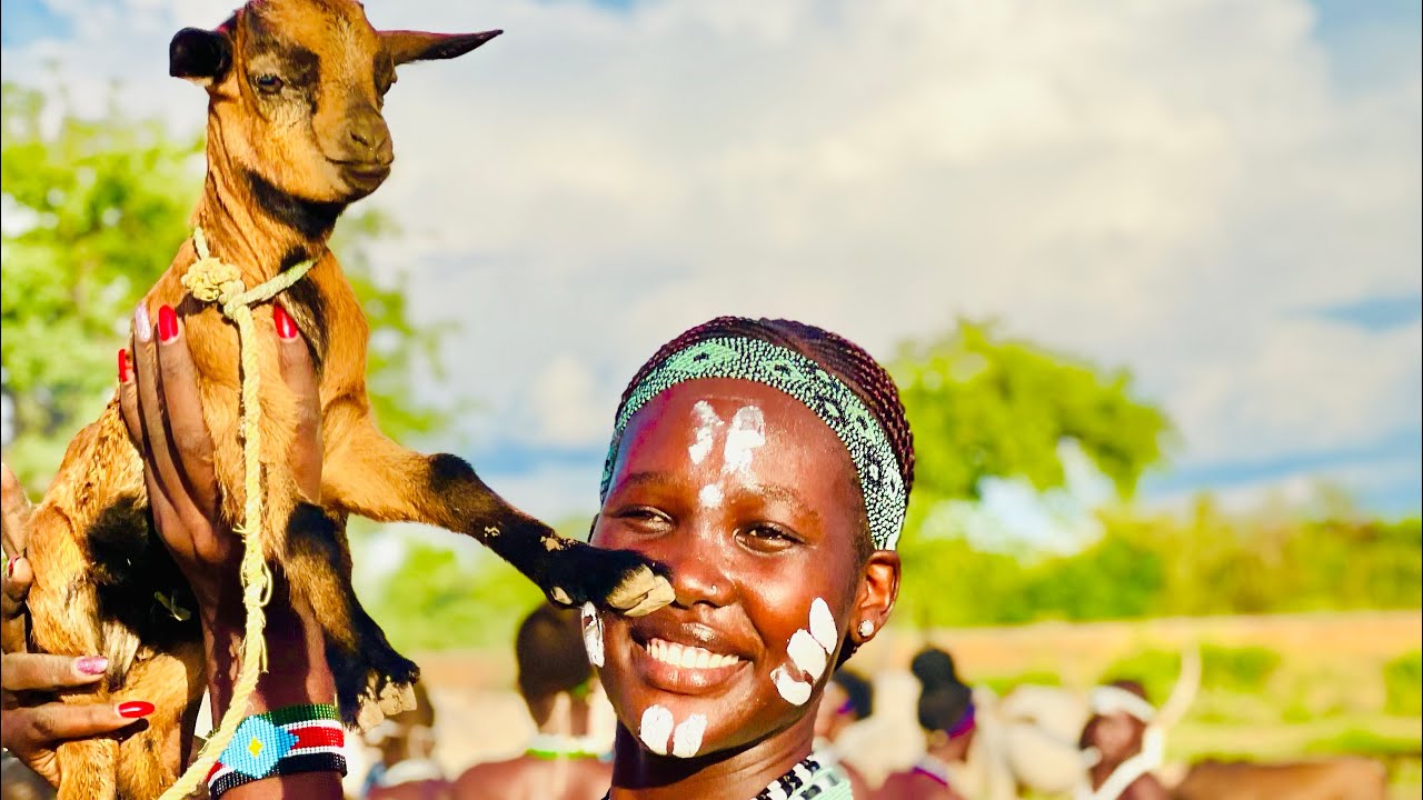 Marocco Boy - Noi panda feat. Small Engine