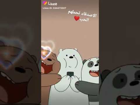 حالات واتساب عن الاصدقاء الدببه الثلاثه روعه مع اغنيه تركيه