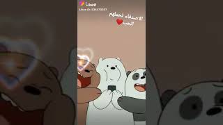 حالات واتساب عن الاصدقاء الدببه الثلاثه روعه مع اغنيه تركيه