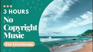 Background Music for Live Streaming (3 Hours No Copyright Music)