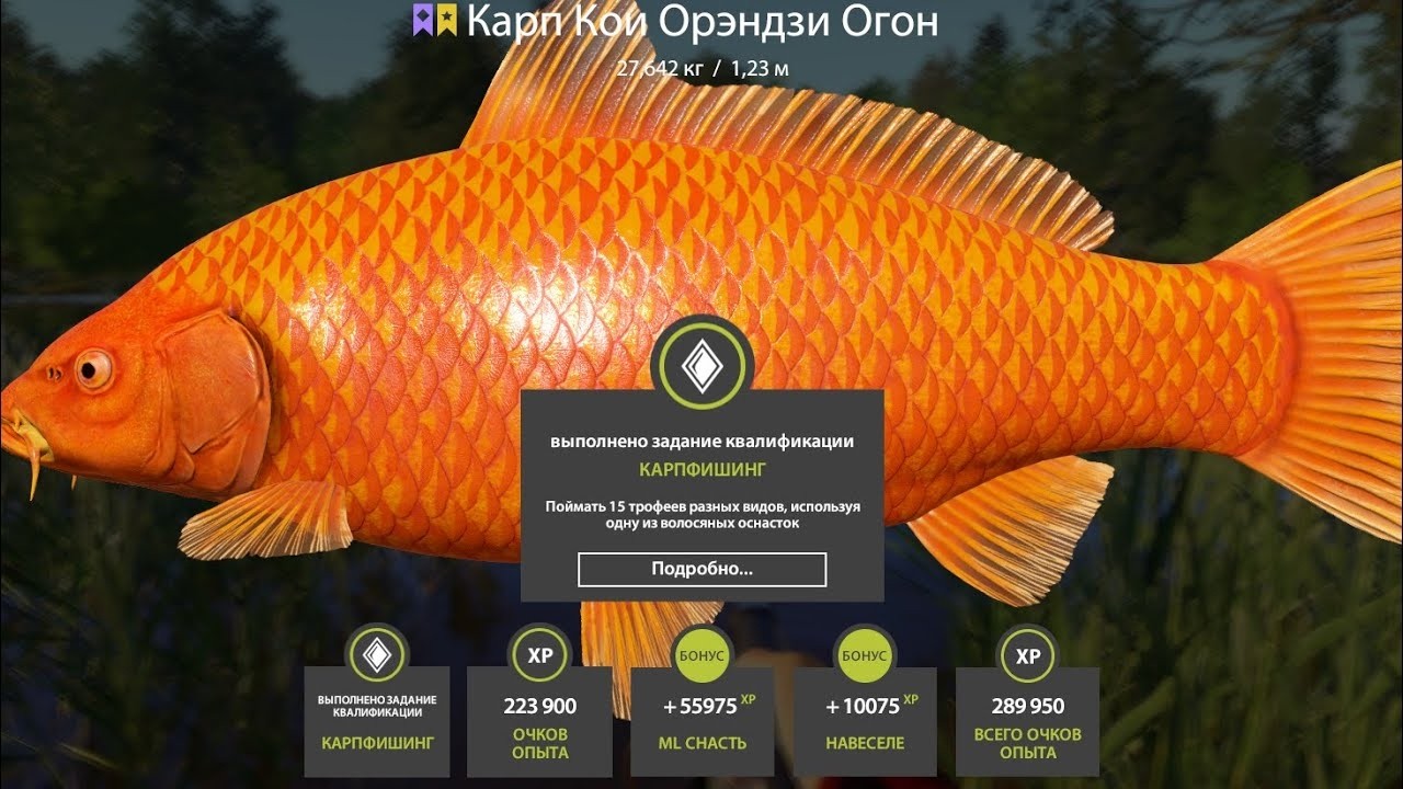 ➤ БЕСПЛАТНЫЕ РУЛЕТКИ КАЖДЫЕ 15 Минут 🔴 РОЗЫГРЫШИ - КАТУШКИ ЗОЛОТО ПРЕМЫ #русскаярыбалка4  #РР4