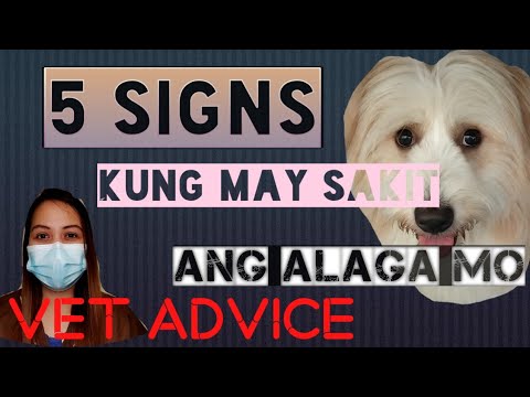 Video: Masakit Ba Ang Alaga Mo?