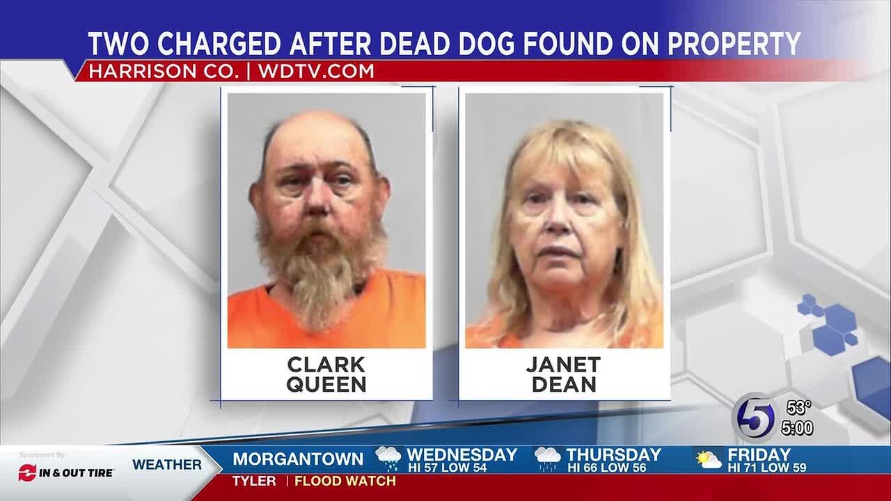 1 dog dead, 2 people arrested after animal cruelty investigation in ...