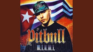 Video thumbnail of "Pitbull - Culo"