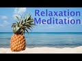 Beautiful relaxing music for stress relief  beautiful piano  meditation music pineapple