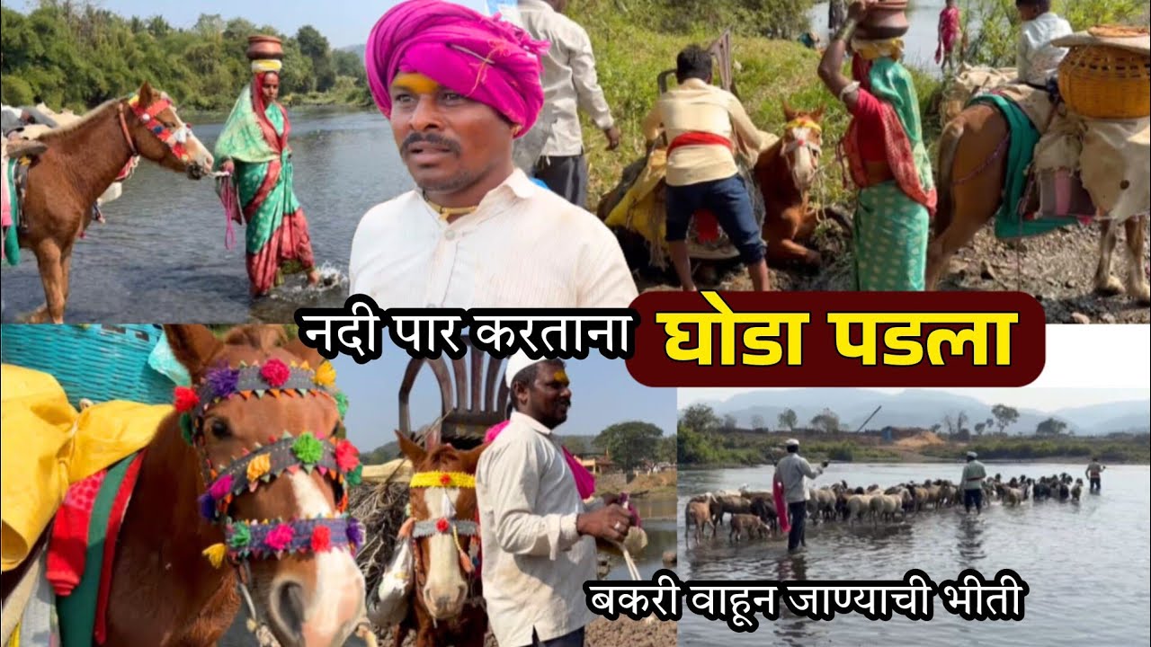 नदी पार करताना म्हातारा घोडा पडला🥺, आमची झाली घाबरगुंडी | बकरी वाहून जाण्याची भीती|banai | sidu hake