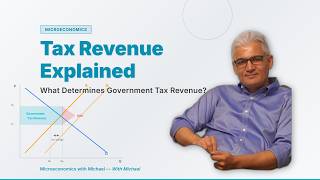 What Determines Government Tax Revenue? The Role of Demand Elasticity Explained