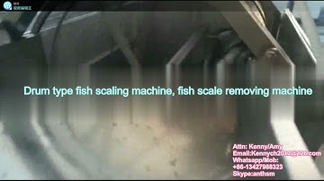 QYL-1000 drum type fish scaling machine, fish scale removing machine, descaling machine
