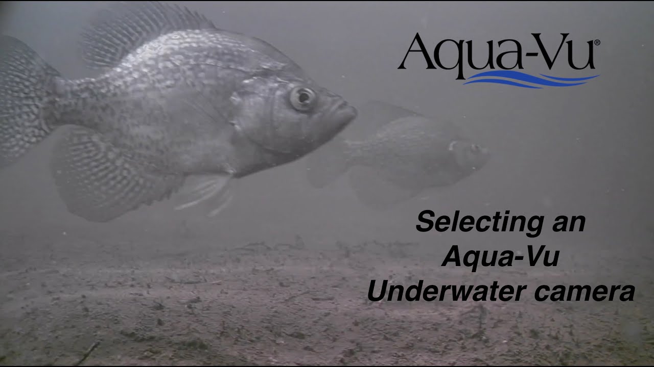 Aqua-Vu Underwater Camera Selection