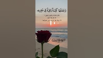 تلاوة مختارة