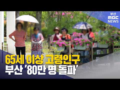 부산 <strong>65세</strong> 이상 고령인구 80만 명 돌파 (2026-07-29,수/뉴스데스크/부산MBC)