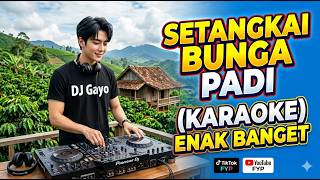karaoke Setangkai Bunga Padi Dj Dangdut Remix