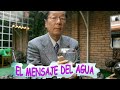 MASARU EMOTO Y EL MENSAJE DEL AGUA   #masaruemoto