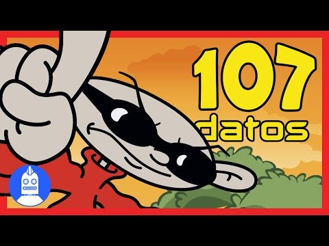 107 Datos De