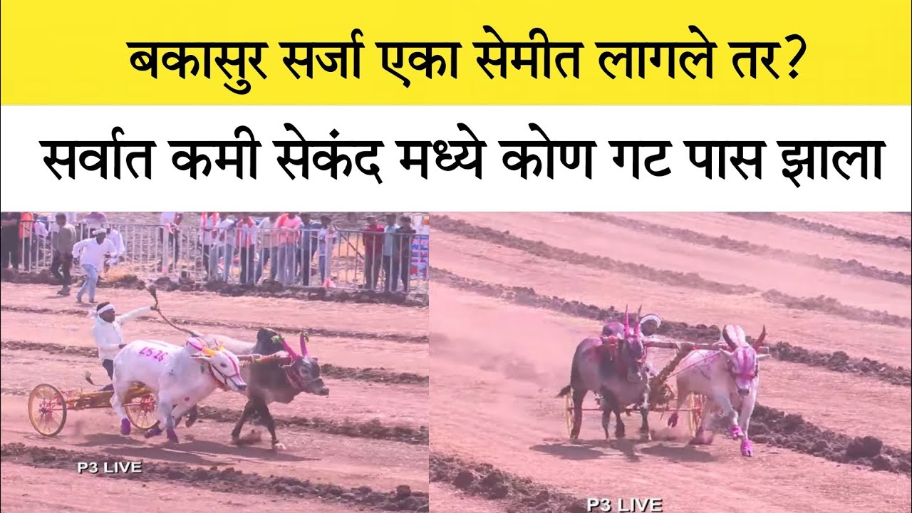 बकासुर घोटसर्जा एका सेमीत लागले तर? सर्वात कमी सेकंद मध्ये गट पास कोण बघा 😱🤩✌🏻 #नाद #बकासुर #बैलगाडा