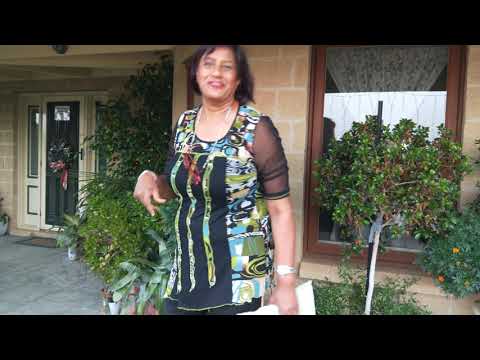 Pelargonium Combo Planting (part 2)