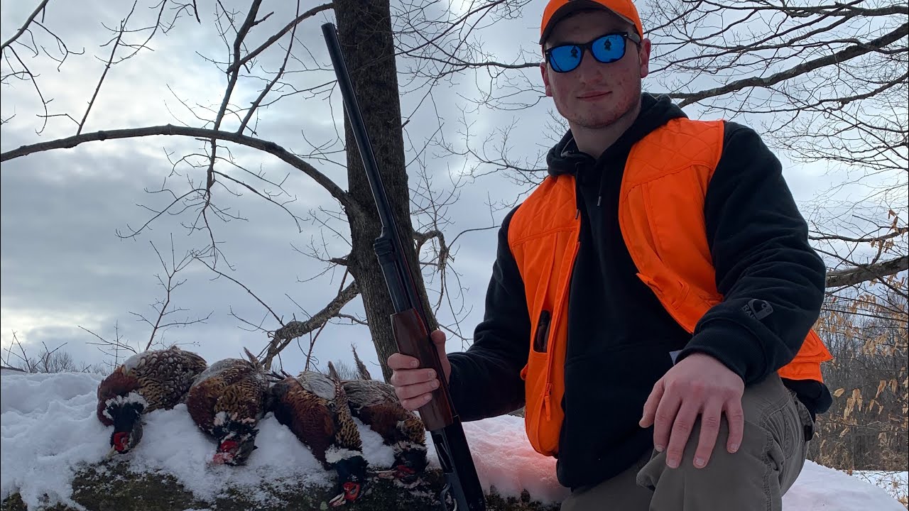 Pennsylvania pheasant hunt YouTube