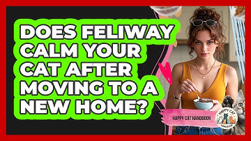 Does Feliway Calm Your Cat After Moving To A New Home? - Happy Cat Handbook