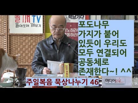 영상썸네일