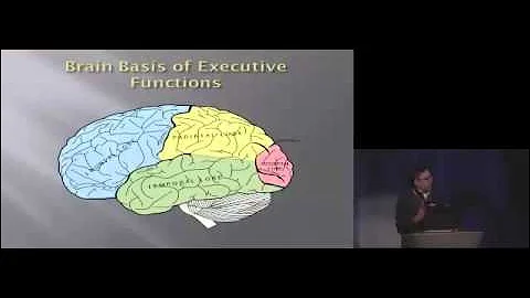 Executive Functions in Children and Teens