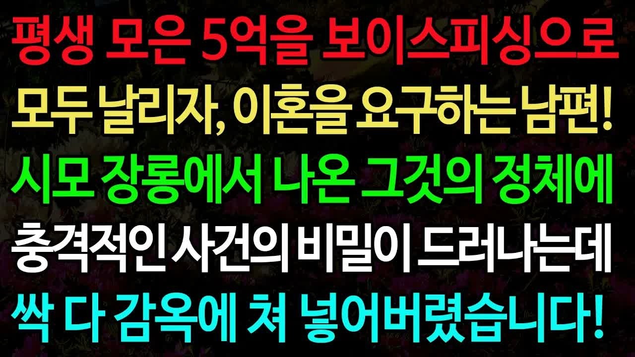실화사연 평생 모은 5억을 보이스피싱으로 모두 날리자, 이혼을 요구하는 남편! 시모 장롱에서 나온 그것의 정체에 ⧸실화사연⧸신청사연⧸사이다썰⧸반전사연⧸사연라디오
