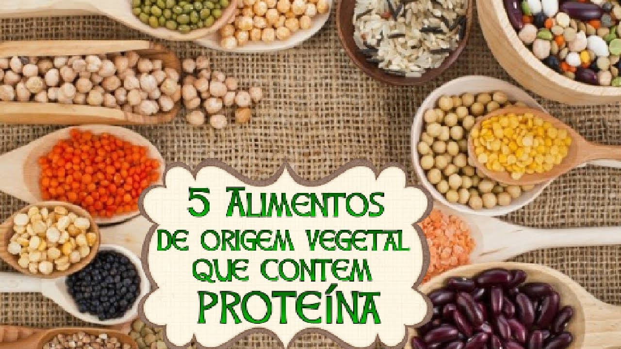 Dois Alimentos De Origem Vegetal - BINKEDU