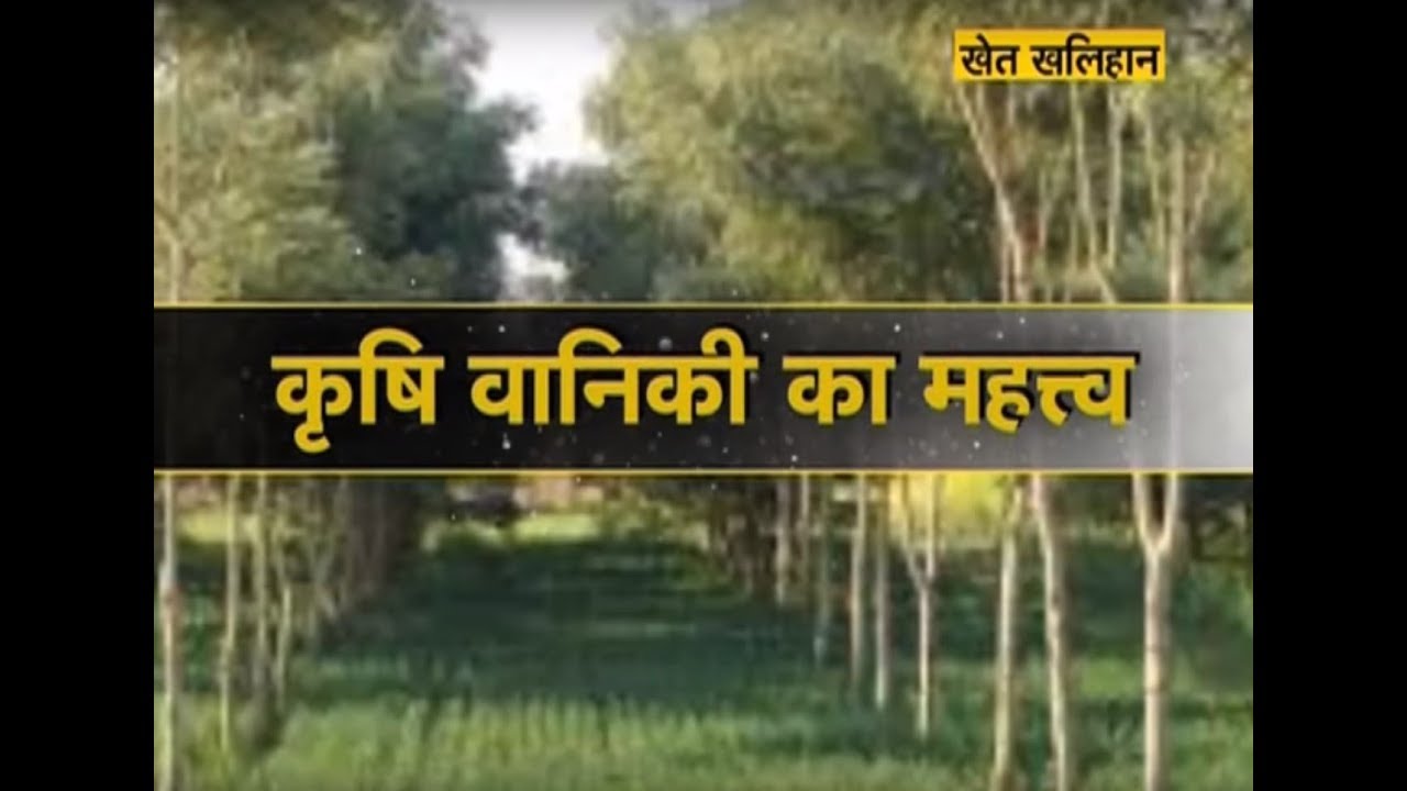 Khet Khalihaan - कृषि वानिकी का महत्व farmers insurance