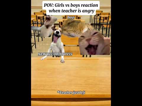 CAT MEMES 🐱 Girls vs Boys reaction when teacher is angry 😂. #catmemes #meme