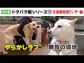 2023狂犬病予防注射会場のドタバタ劇⑪ 北保健福祉センター編