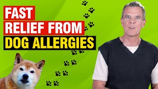 How to Treat Seasonal Dog Allergies Naturally [POWERFUL Home Remedy]