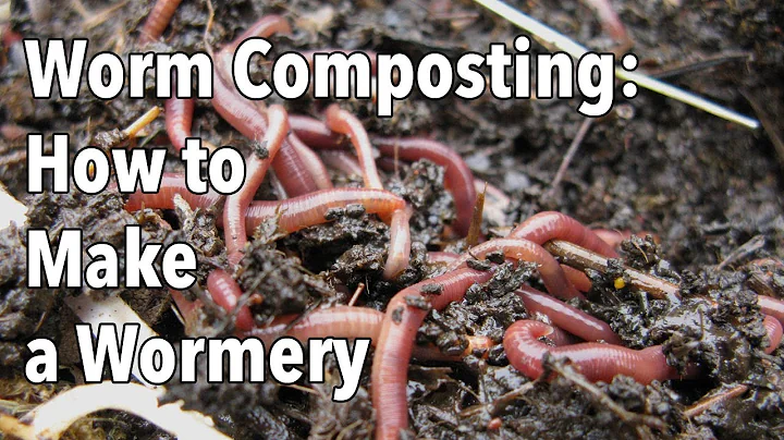 Worm Composting: How to Make a Wormery