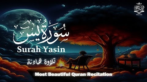 سورة يس أرح سمعك مع تلاوة طيبة للقارئ طارق محمد Surah Yasin