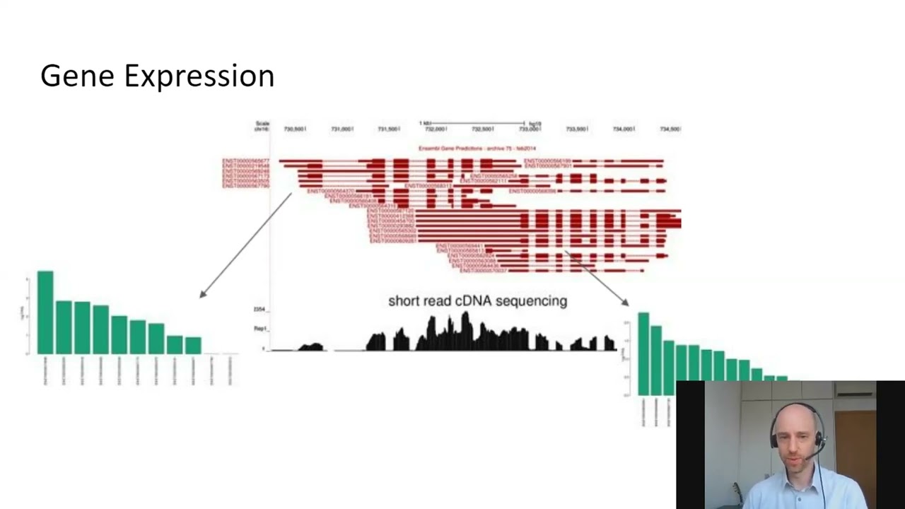 Studying Promoter and Isoform Diversity with Long Read Transcriptome Sequencing