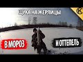 ЛОВЛЯ ЩУКИ на ЖЕРЛИЦЫ в оттепель.ПОВОДКИ из лески,ставить или нет?