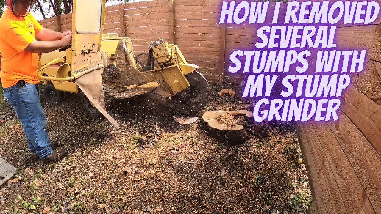 How I Removed Several Stumps with a Stump Grinder - YouTube