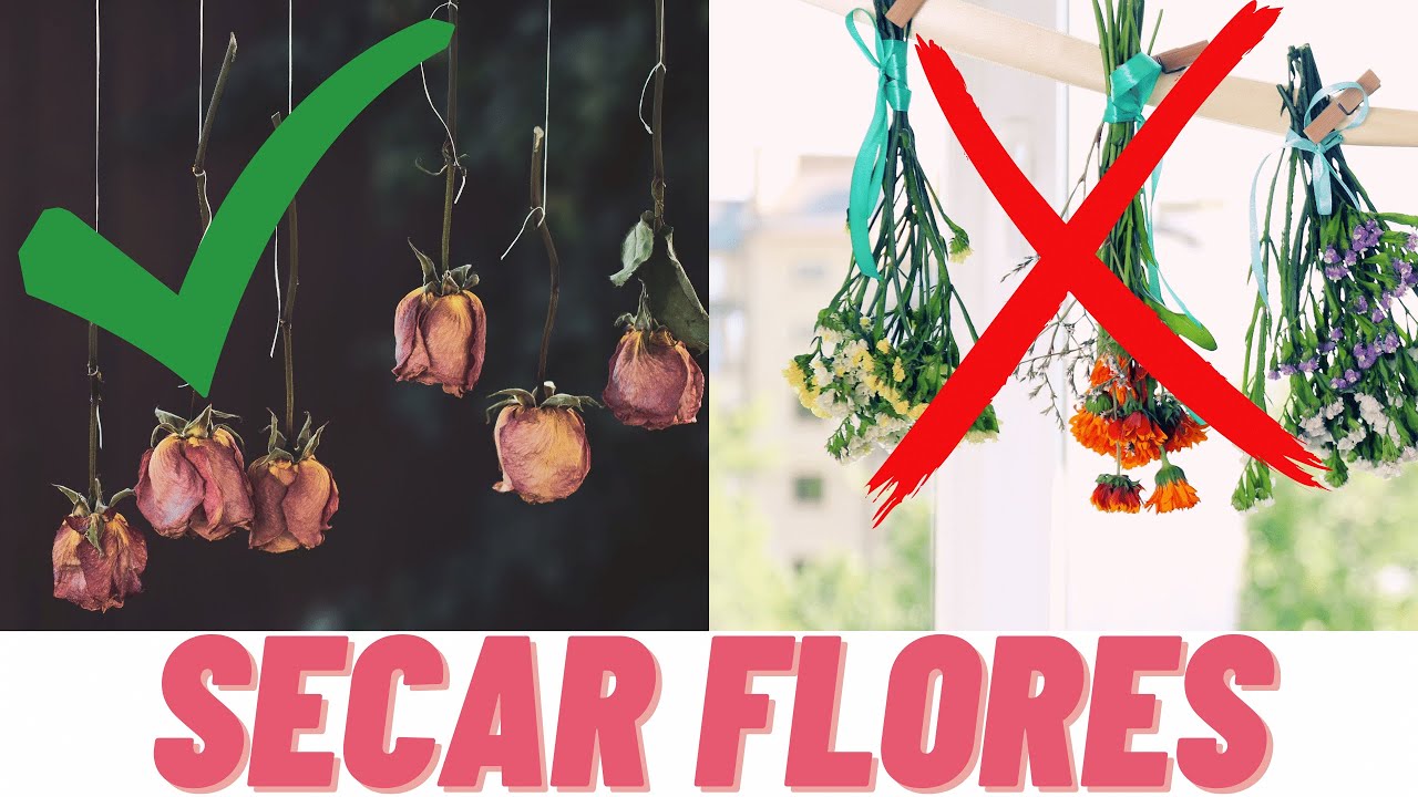 COMO DESIDRATAR FLORES, FOLHAS E PLANTAS - MÉTODO DE SECAGEM SUSPENSO - COMO SECAR FLORES E PLANTAS