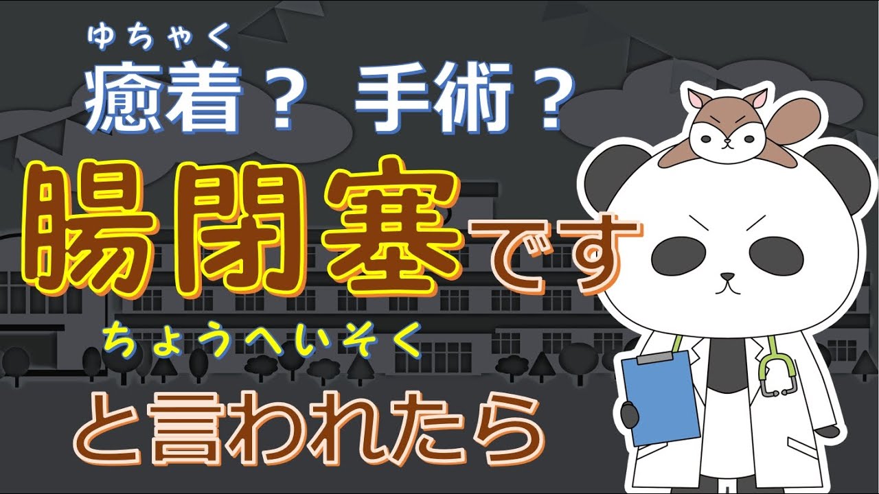 【腸閉塞ですと言われたら！癒着？手術？】