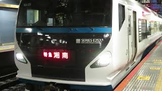 E257系 特急湘南7号　東京駅にて