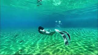 SaveOcean 2mm T-Back Open-Back Women's Bikini Wetsuit🤿#freediving #wetsuit #bestdive