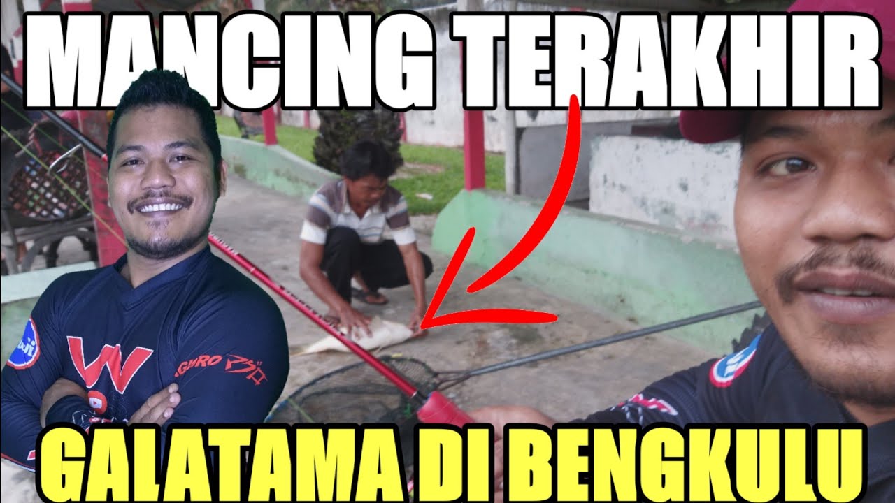 MANCING TERAKHIR DI BENGKULU🎣 Dengan UMPAN OPLOSAN ESSEN JITU GALATAMA