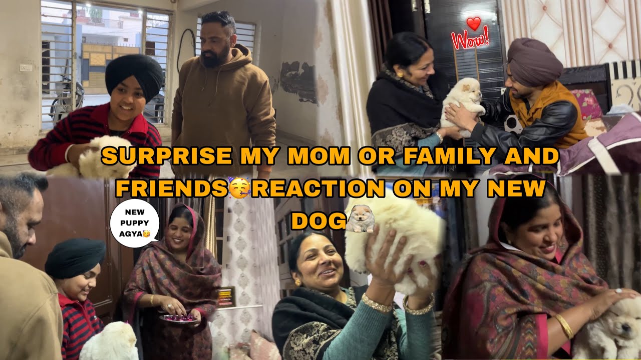 SURPRISE MY FAMILY AND FRIEND 🥳REACTION ON MY NEW DOG🐶SARE JANA HOYA KHUSH ❤️JASHAN JAGROAN 