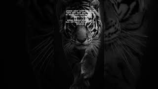 Download Lagu story wa hukum alam #shorts #shortvideo #shortsvideo #story #storywa #storywa30detik #storywakeren MP3