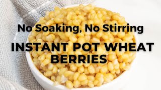 HOW TO COOK WHEAT BERRIES WITHOUT SOAKING | INSTANT POT WHEAT BERRIES - Flavours Treat screenshot 2