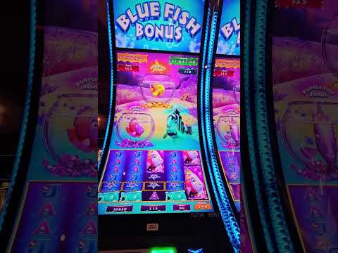 ПРОМОКДЫ В ОНЛАЙН CASINO LEON | ПРОМОКОДЫ И ФРИСПИНЫ ЛЕОН КАЗИНО | LEON CASINO БОНУСЫ